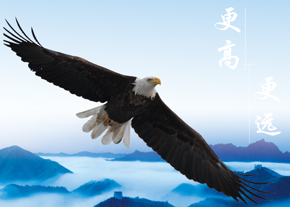 浙江分层PCB线路板打样生产厂家一站式便捷服务