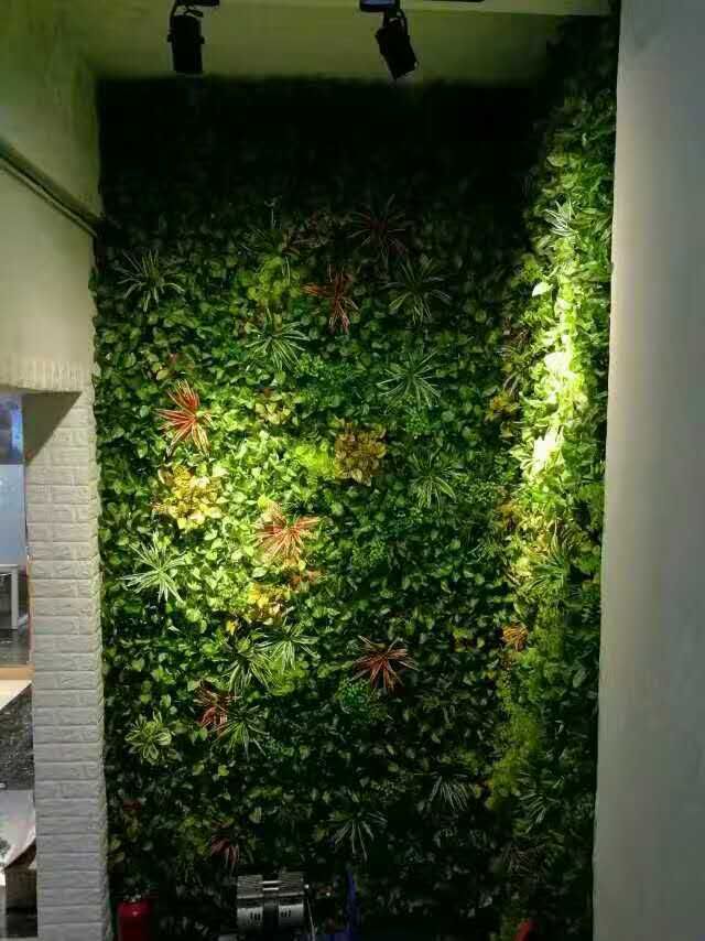 福田别墅办公室绿植管理制度品质保障