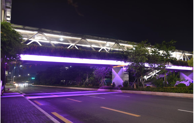 温州设计绿化环卫公司价格优惠