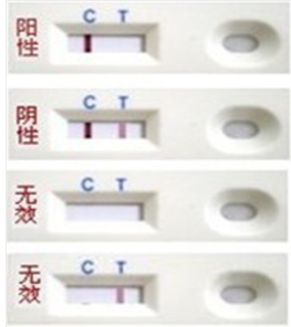 北京稳定苯巴bi妥快速检测卡价格提供技术交流