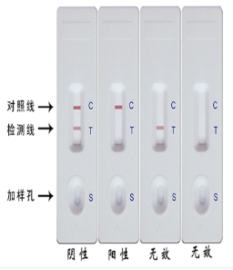 山东稳定红葡萄酒掺伪速测试剂公司广泛应用