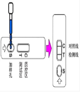 广州正规涕灭威检测卡厂家质量可靠