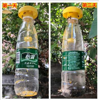 惠州小实蝇引诱剂厂家,昆虫信息素生产厂